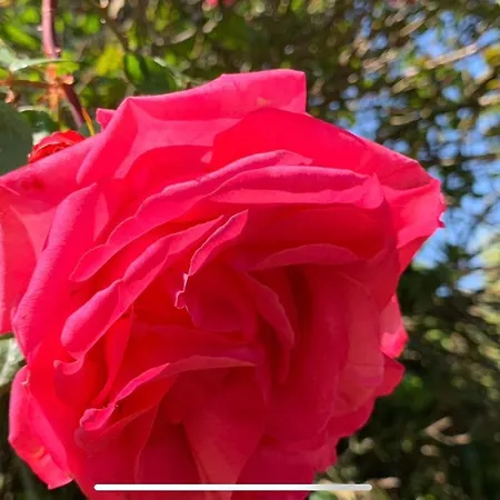 Bed & Breakfast La Grange