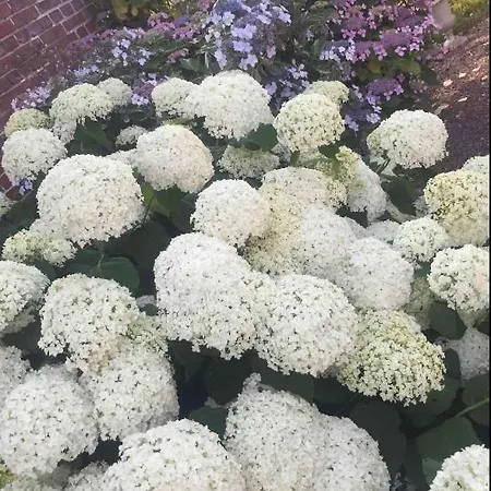 La Grange Bed & Breakfast Neuville-les-Dieppe