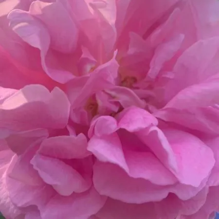 Couette-café La Grange