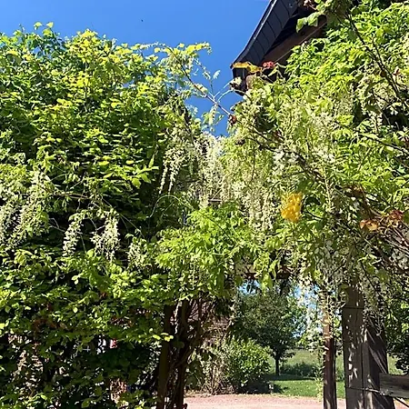 La Grange 4*